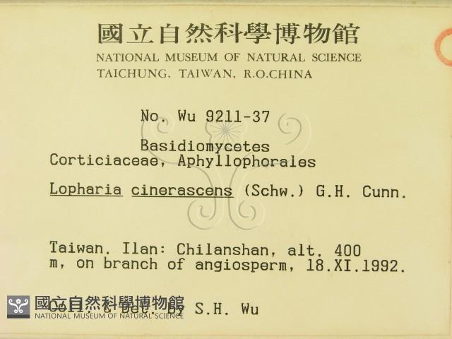 登錄號:F0000484藏品圖，第2張