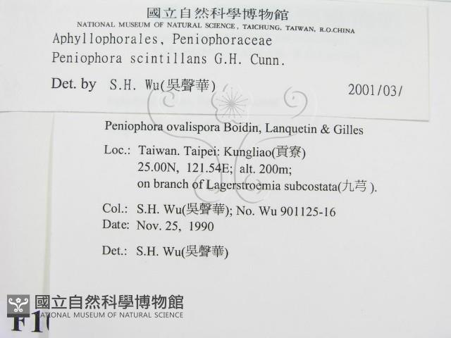 登錄號:F0010484藏品圖，第2張