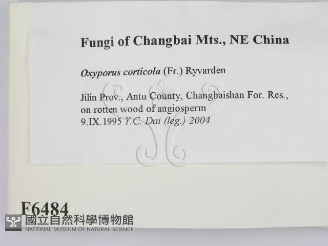 登錄號:F0006484藏品圖，第2張