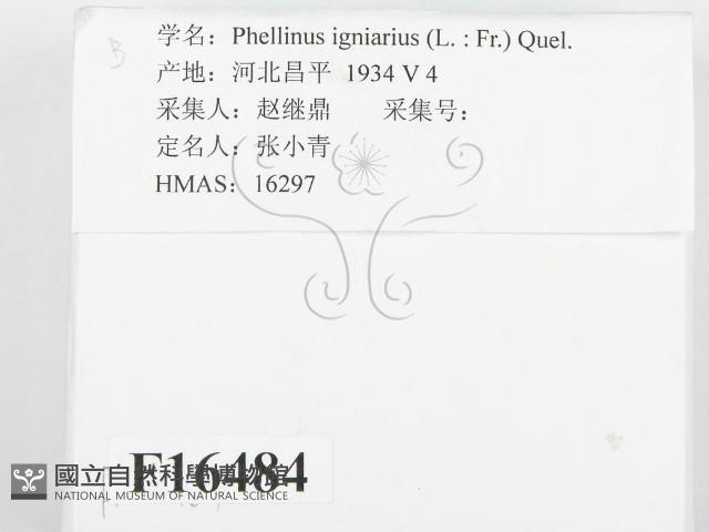 登錄號:F0016484藏品圖，第2張