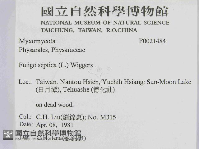 登錄號:F0021484藏品圖，第2張