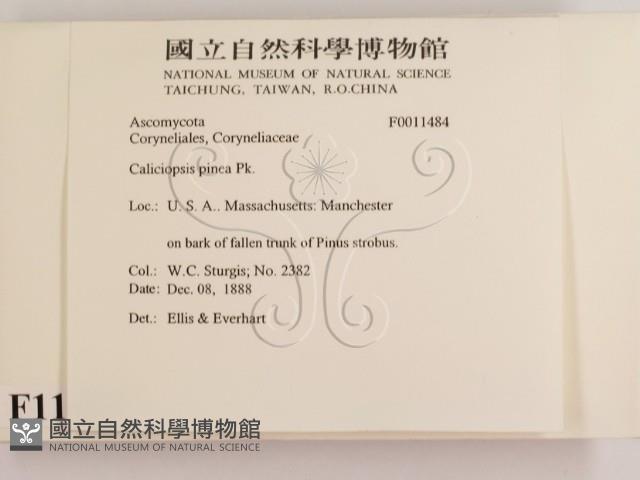 登錄號:F0011484藏品圖，第2張