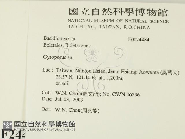 登錄號:F0024484藏品圖，第2張