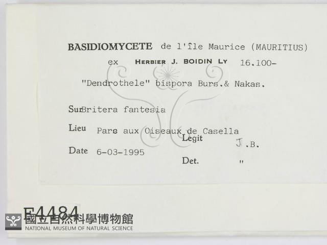 登錄號:F0004484藏品圖，第2張