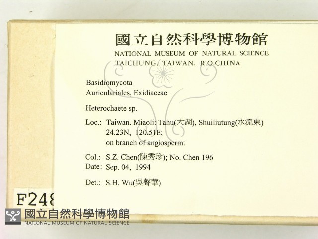 刺皮菌屬藏品圖，第2張