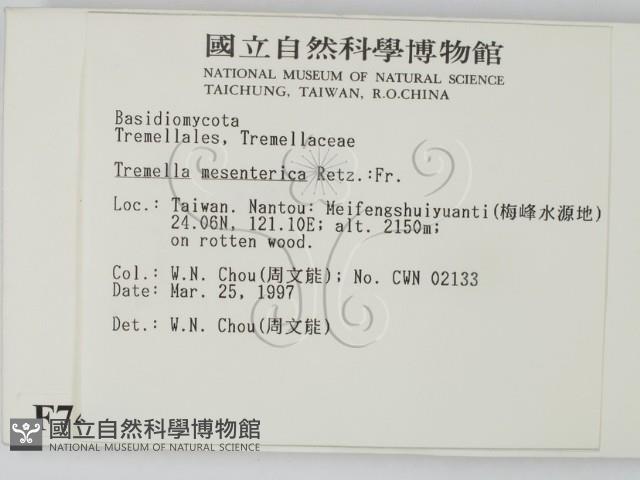 登錄號:F0007484藏品圖，第2張