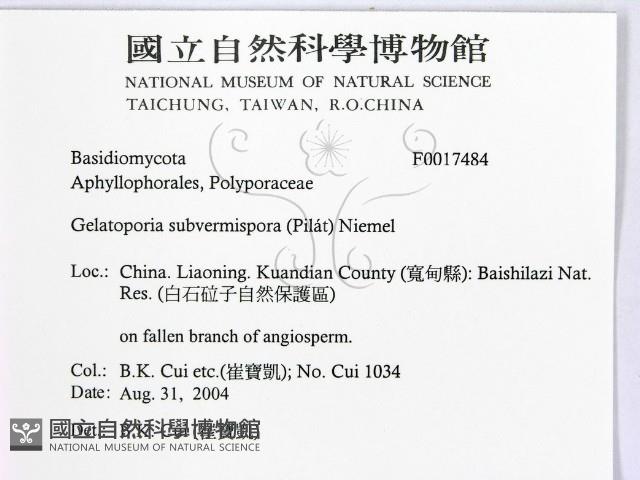 登錄號:F0017484藏品圖，第2張