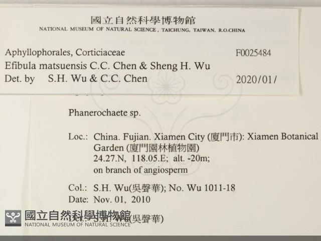 登錄號:F0025484藏品圖，第2張