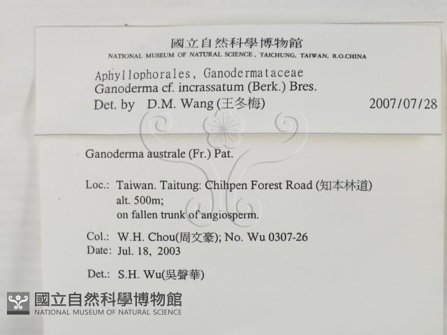 登錄號:F0015484藏品圖，第2張