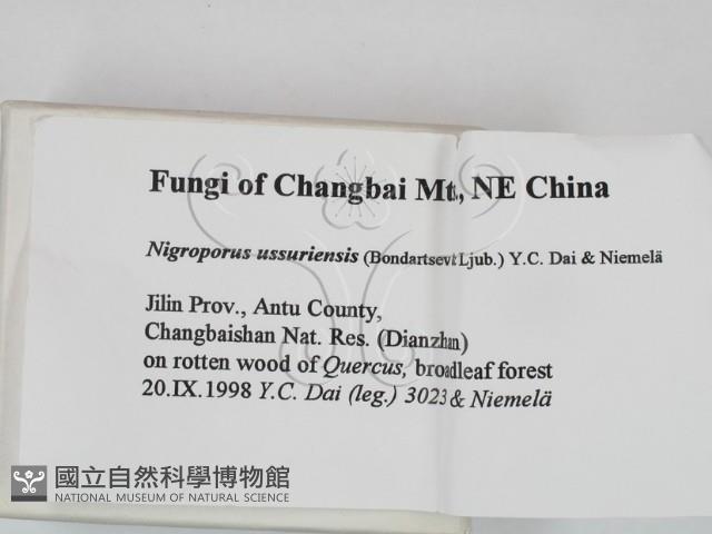 登錄號:F0009484藏品圖，第2張