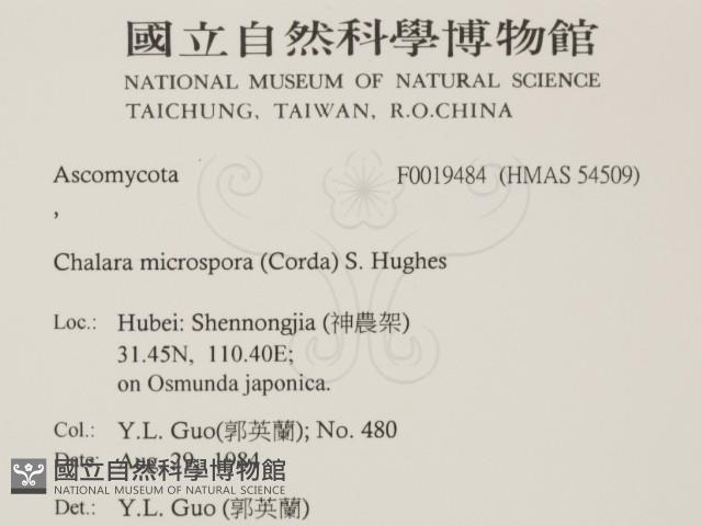 登錄號:F0019484藏品圖，第2張