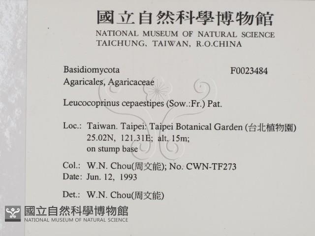 登錄號:F0023484藏品圖，第2張