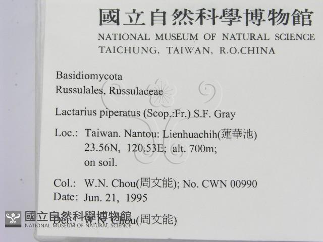 登錄號:F0003484藏品圖，第2張