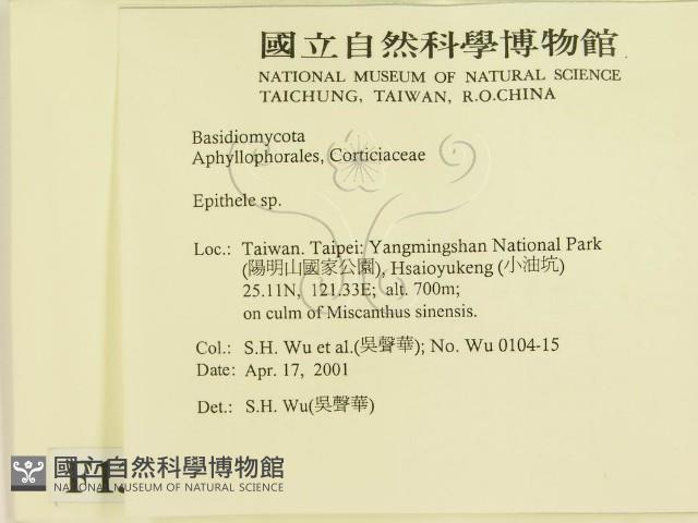 登錄號:F0013484藏品圖，第2張