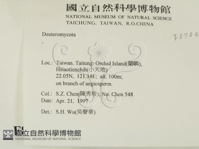 登錄號:F0008784藏品圖，第2張