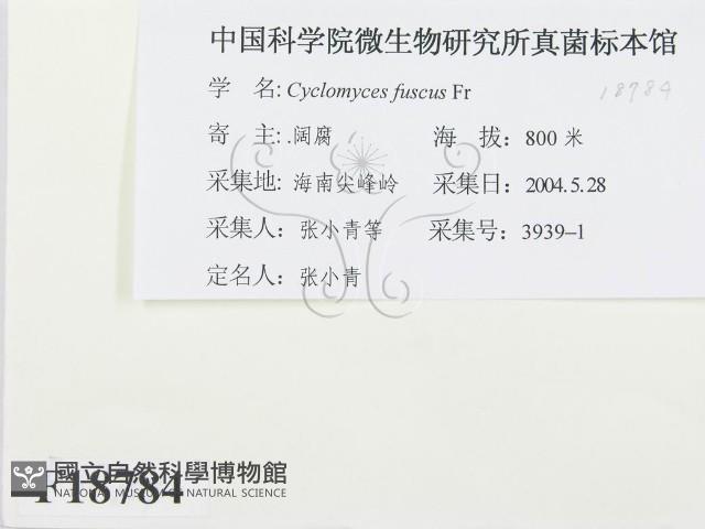 登錄號:F0018784藏品圖，第2張