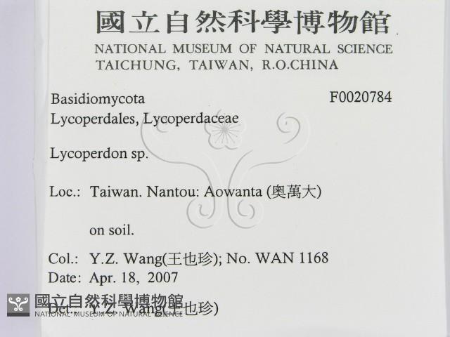 登錄號:F0020784藏品圖，第2張