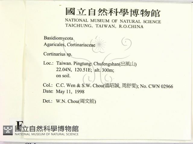 登錄號:F0010784藏品圖，第2張