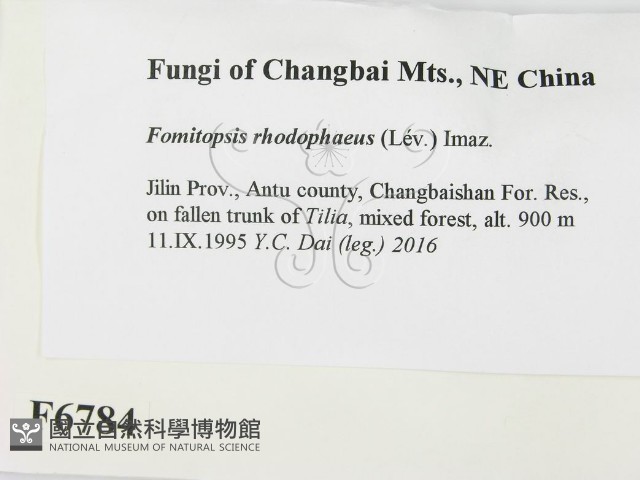 登錄號:F0006784藏品圖，第2張