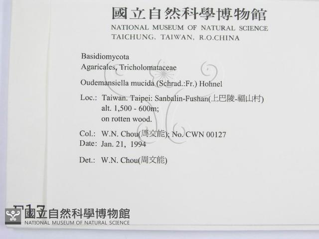 登錄號:F0001784藏品圖，第2張