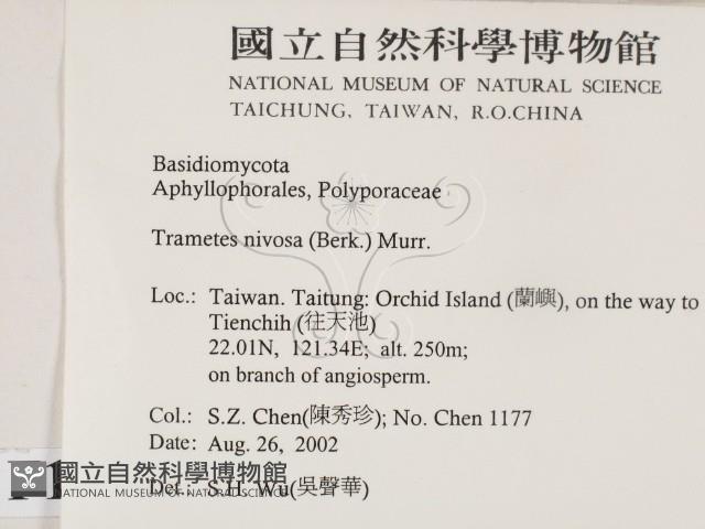 登錄號:F0014784藏品圖，第2張