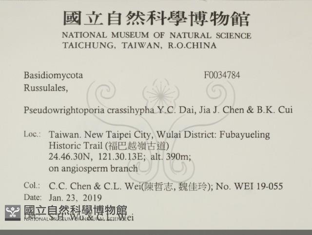 登錄號:F0034784藏品圖，第2張