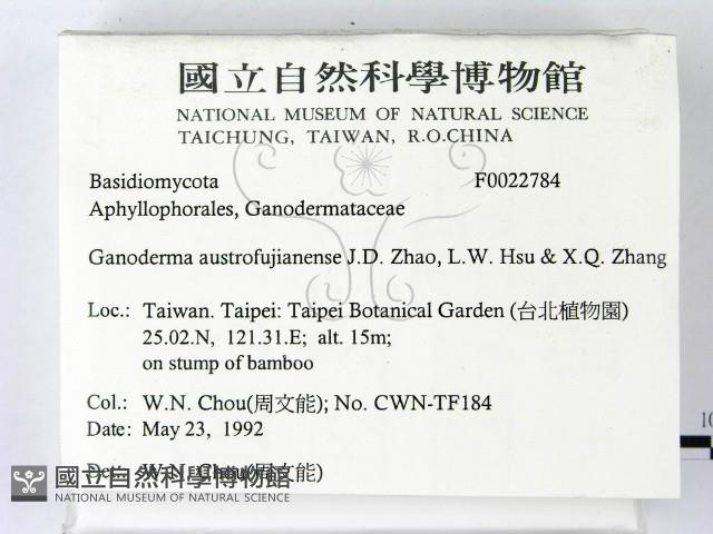 登錄號:F0022784藏品圖，第2張