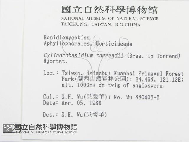 登錄號:F0002784藏品圖，第2張