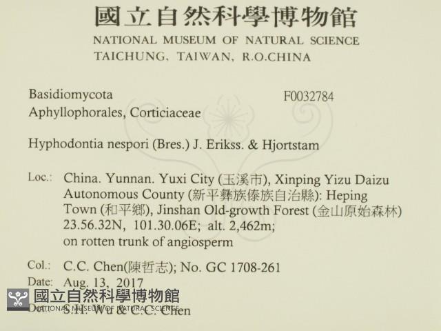 登錄號:F0032784藏品圖，第2張