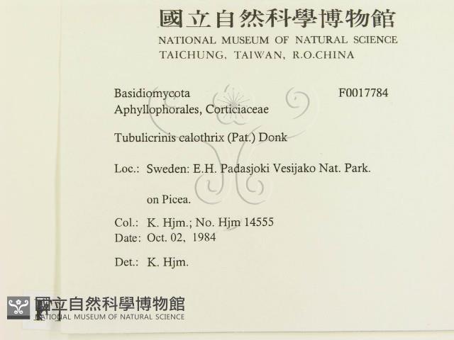 登錄號:F0017784藏品圖，第2張