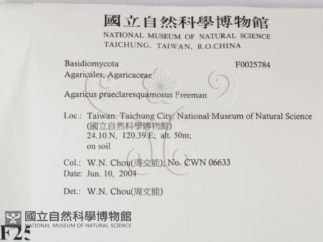 登錄號:F0025784藏品圖，第2張