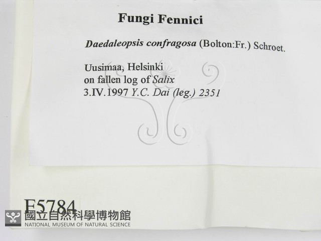 登錄號:F0005784藏品圖，第2張