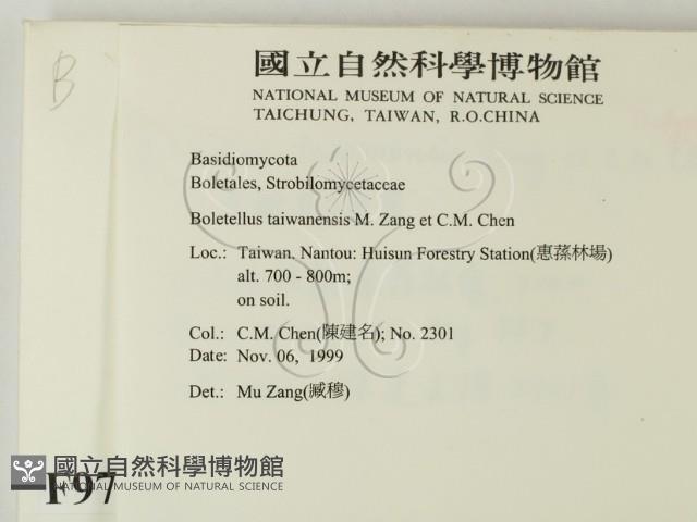 登錄號:F0009784藏品圖，第2張