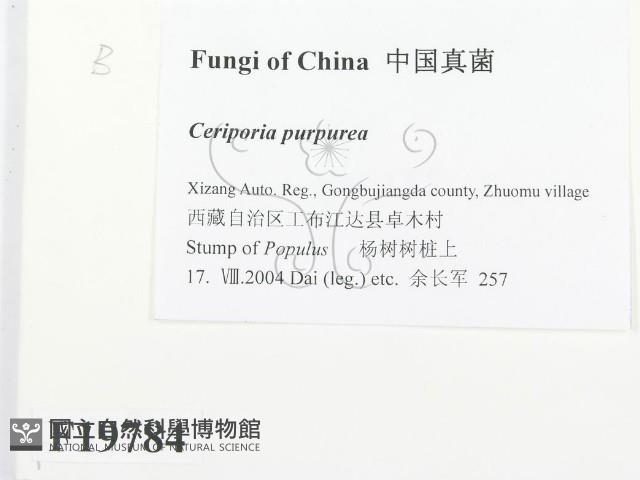 登錄號:F0019784藏品圖，第2張