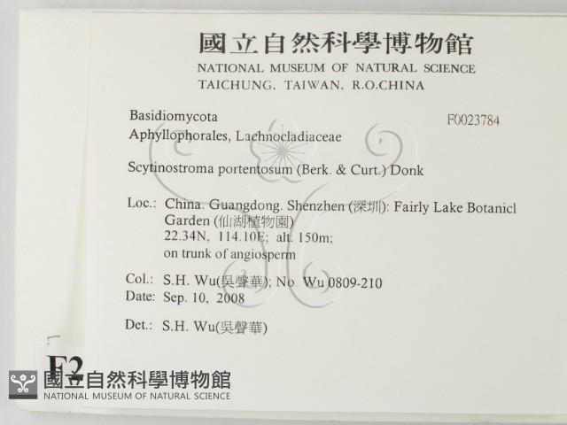 登錄號:F0023784藏品圖，第2張