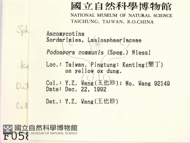 登錄號:F0000584藏品圖，第2張