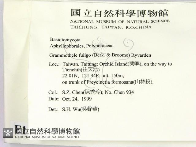 登錄號:F0010584藏品圖，第2張