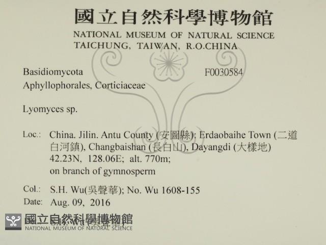 登錄號:F0030584藏品圖，第2張