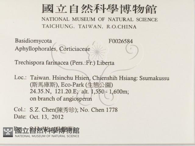 登錄號:F0026584藏品圖，第2張