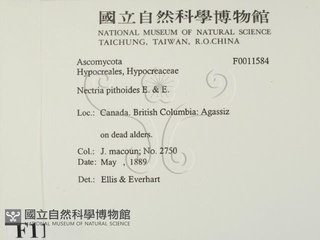 登錄號:F0011584藏品圖，第2張
