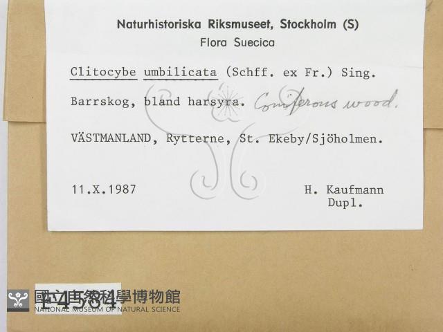 登錄號:F0004584藏品圖，第2張