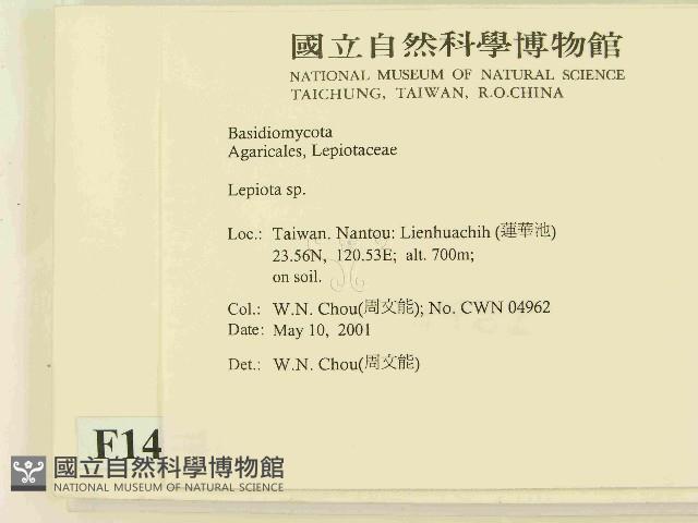 登錄號:F0014584藏品圖，第2張