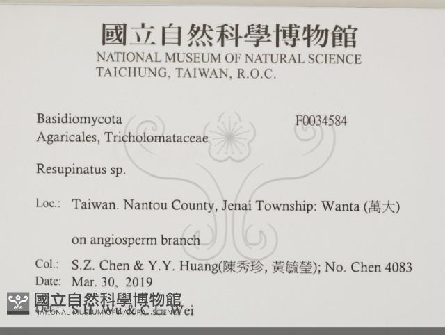 登錄號:F0034584藏品圖，第2張