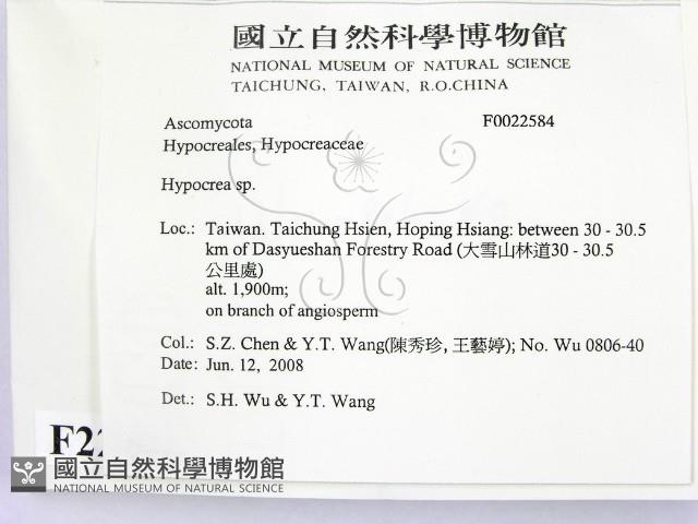 登錄號:F0022584藏品圖，第2張