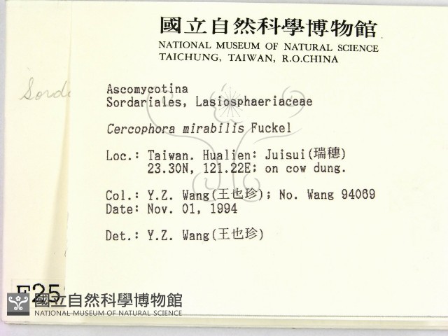 登錄號:F0002584藏品圖，第2張