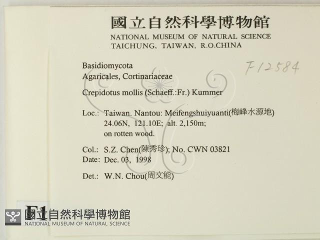 登錄號:F0012584藏品圖，第2張
