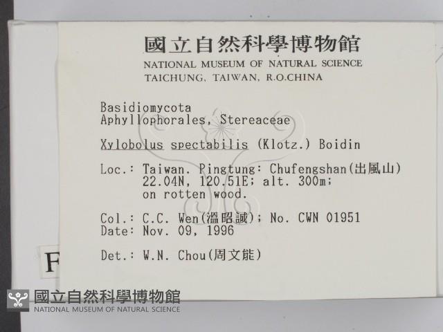 登錄號:F0005584藏品圖，第2張