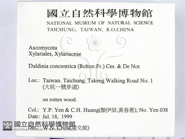 登錄號:F0015584藏品圖，第2張