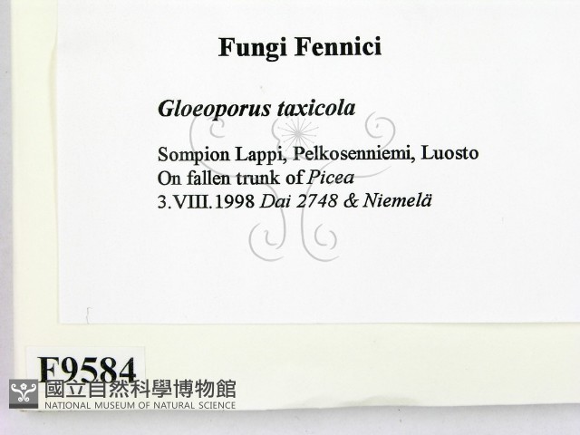 登錄號:F0009584藏品圖，第2張