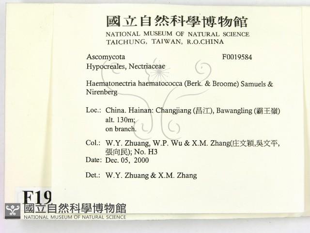 登錄號:F0019584藏品圖，第2張
